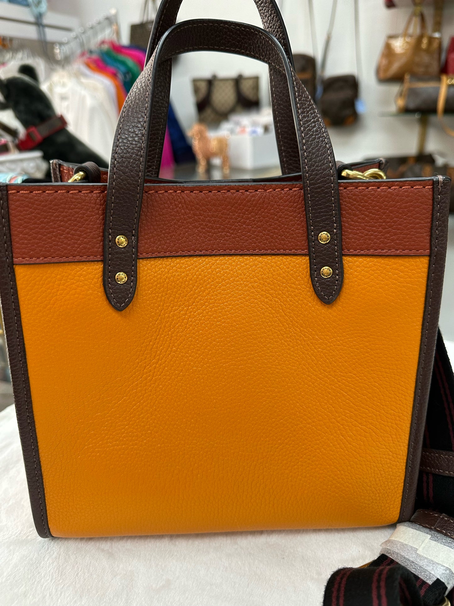 Coach Color Block Field Tote