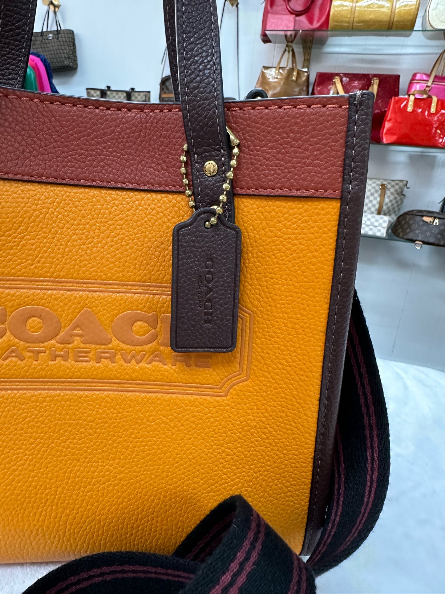 Coach Color Block Field Tote